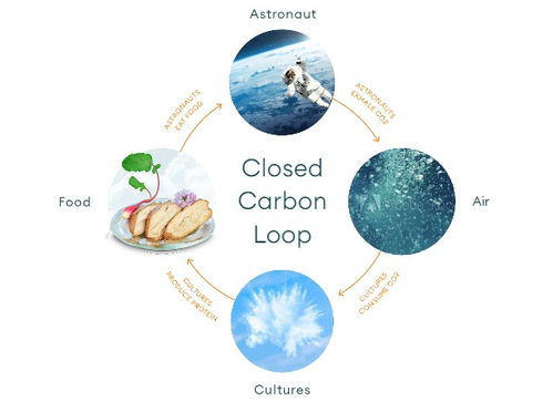 空氣制肉 無(wú)需植物的生物科技新革命