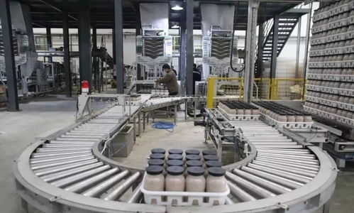 科技賦能農業新篇章 西南最大食用菌工廠化項目在萬盛投產，引領生物科技新突破